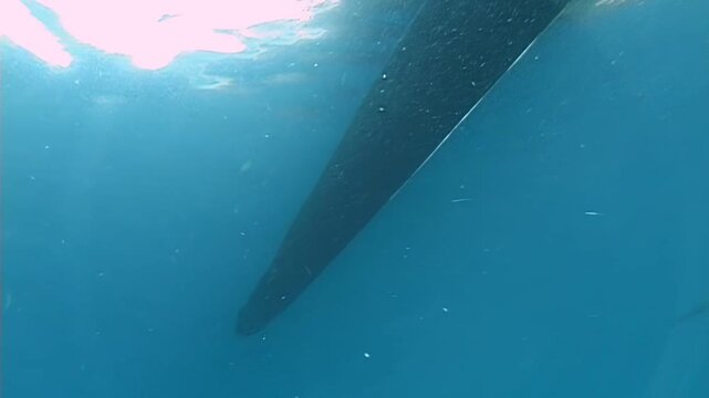 Beneath the surface, the hull of a boat cuts through the clear waters near Papua New Guinea. Sunlight filters through the waves, creating a mesmerizing underwater view.