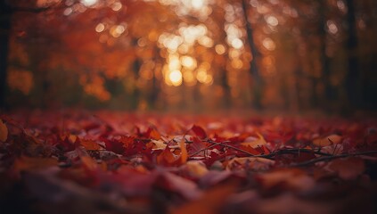 Golden autumn forest floor covered in vibrant red and orange leaves with soft sunlight filtering through trees