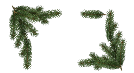 Two realistic fir tree branch corner elements for christmas or winter holiday decoration design, isolated on transparent background
