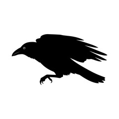 Black silhouette of a raven with its wings spread against a white background