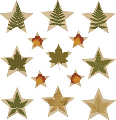 Obraz premium Eco-friendly Christmas decoration featuring star-shaped cutouts with green and orange leaves on a white background, conveying an environmentally conscious holiday theme.