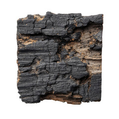Charred, weathered wood texture fragment showing rough surface and grain