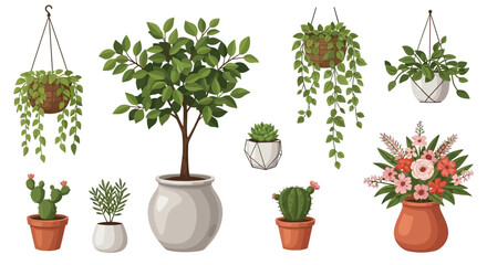 Collection of house plants in pots, hanging baskets, and decorative flower arrangements