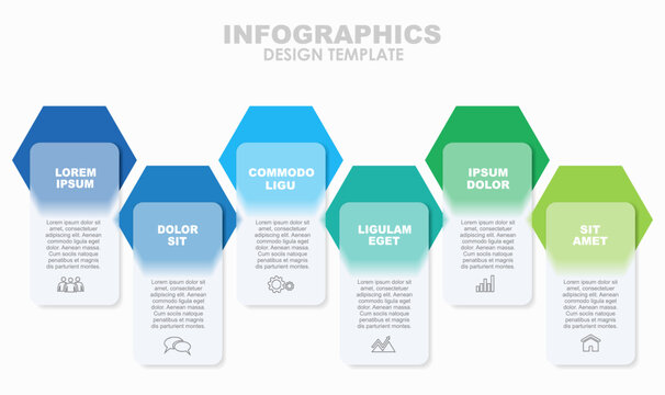 Infographic with four colorful hexagon-labeled sections for process, categorization, or presentation in a modern layout. Vector illustration.