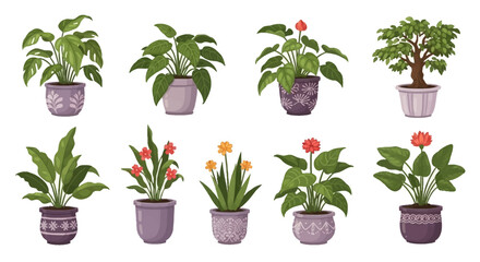 Collection of beautiful potted plants, home decor and garden elements