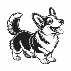 Fototapeta premium Black and White Corgi Dog