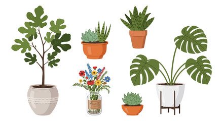Illustration of Potted Plants and Flowers Arrangement in Various Pots