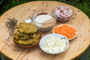Grandma prepares traditional dolma in the country, abroad, in the Republic of Moldova or Romania. Dolma is a family of stuffed dishes associated with Ottoman cuisine.