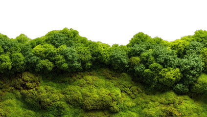 Lush green mossy landscape with a vibrant tree line against a stark black background