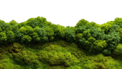 Lush green mossy landscape with a vibrant tree line against a stark black background