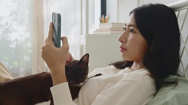 Close-up. Asian teenager girl using smartphone, Hand stroking  cat head on bed morning home