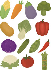 Simple Vegetable Vector Pack – Clean Line Flat Style Fresh Produce