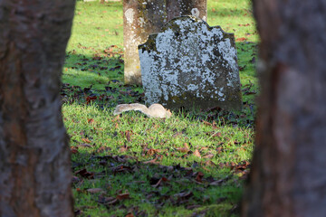 Solid brick and stone architecture around Hertford as darkness closes in over winter time