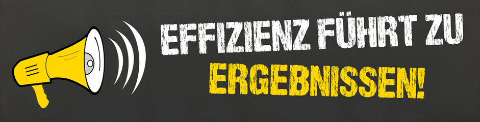 Effizienz führt zu Ergebnissen!