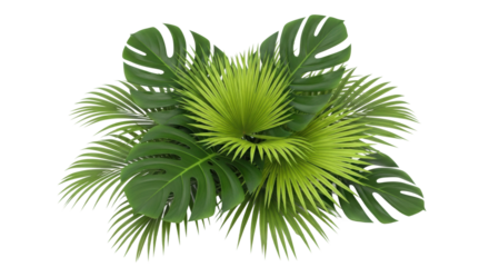 A vibrant arrangement of fresh green monstera leaves and exotic palm fronds creating a dense, natural foliage pattern with detailed textures seen from directly above