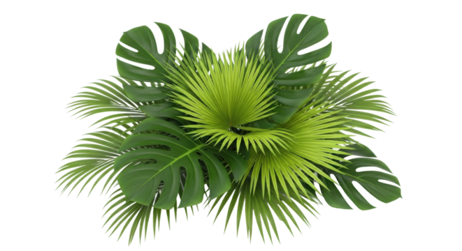 A vibrant arrangement of fresh green monstera leaves and exotic palm fronds creating a dense, natural foliage pattern with detailed textures seen from directly above