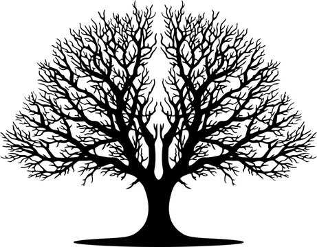 Bare tree, black silhouette, tree icon, vector tree, leafless tree, minimalist design