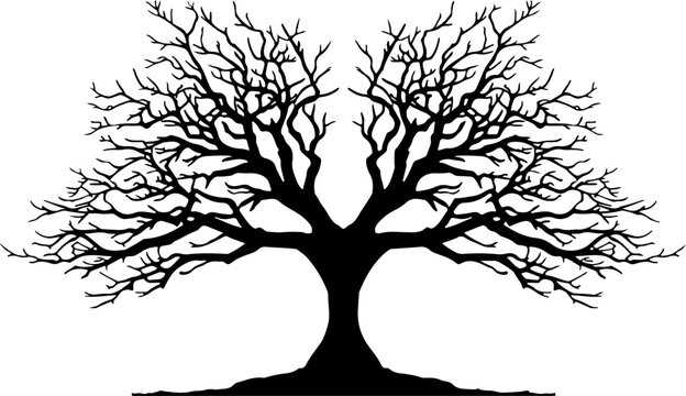Bare tree silhouette, black tree icon, winter tree vector, leafless tree illustration