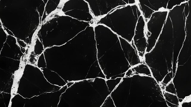 Video A close-up shot of a black and white marble surface with intricate patterns