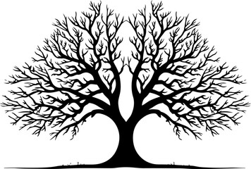 Leafless Tree Silhouette