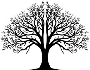 Leafless Tree Silhouette