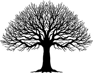 Leafless Tree Silhouette