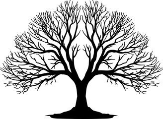 Leafless Tree Silhouette
