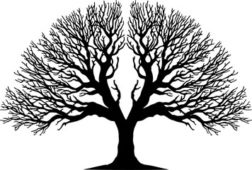 Leafless Tree Silhouette