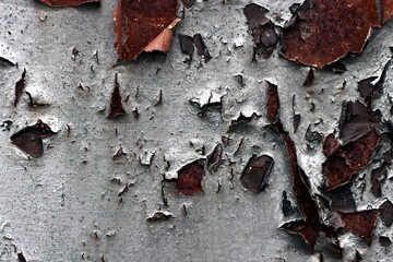 Old silver paint steel with corrosion