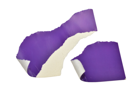 Shapeless pieces of hand-torn purple cardboard lie on a PNG background.