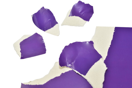 Strips and pieces of hand-torn purple cardboard lie on a PNG background.