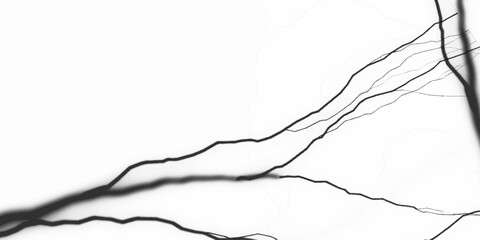 Abstract toxic black lightning sparks, glowing effect on white background, Glowing neon lines intertwine and flow across a dark, textured surface, creating a futuristic and energetic atmosphere.