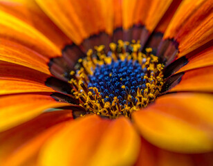  Beautiful Flower Macro Shot