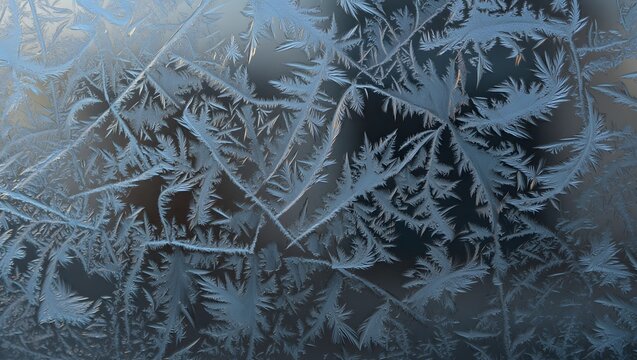 Intricate frost patterns on a windowpane creating a winter wonderland scene