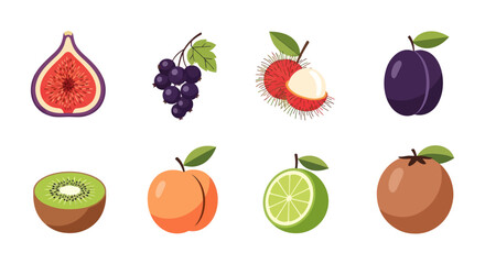 Assortment of colorful fruits vector illustrations on white background