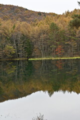 御射鹿池の紅葉