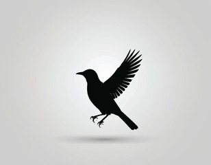 Silhouette of a bird in flight with wings spread wide.