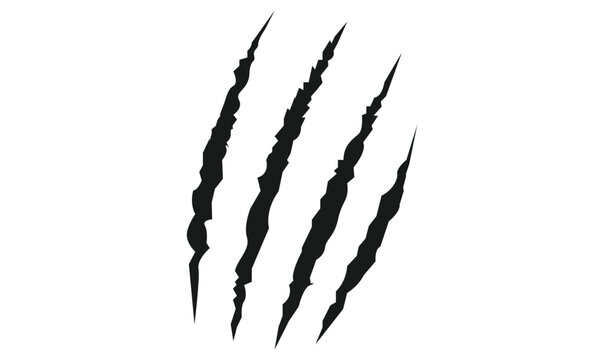 Animal silhouette claw paw marks, tiger, dog, lion, monster, scratches, talons cuts cat, tiger, isolated on transparent background.