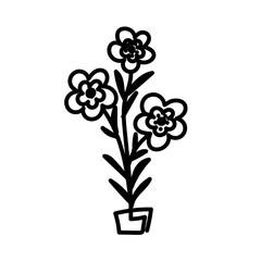 black and white flowers