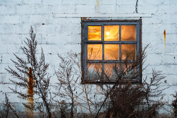 Old white brick wall with a vintage wooden window glowing with warm yellow light stands behind dry...