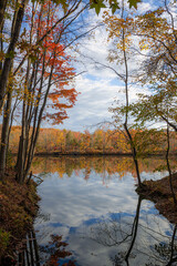 Autumn Lake Landscape