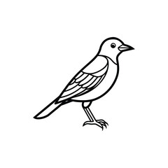 Black silhouette vector illustration of a wild crow on a branch