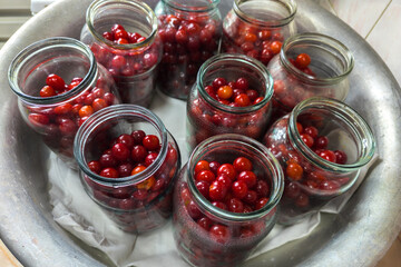 cherries in glass jars prepared for preserving at domestic kitchen countertop