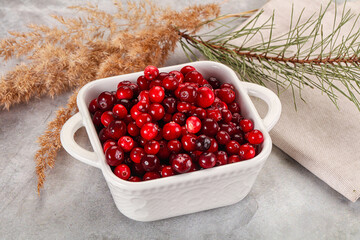 Ripe sweet sour cranberry heap