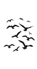 Fototapeta premium Silhouetted birds fly in a flock against a white background.