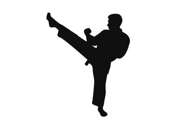 Dynamic silhouette of a martial arts athlete performing a powerful high side kick during training