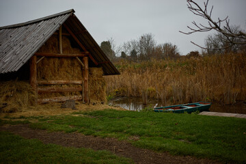 Rustic shed by the water with a small boat and tall grasses in a serene landscape during a cloudy day
