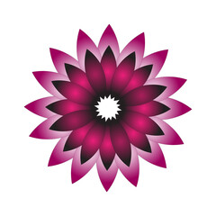 Fototapeta premium Pink lotus flower vector illustration featuring a floral design and nature pattern
