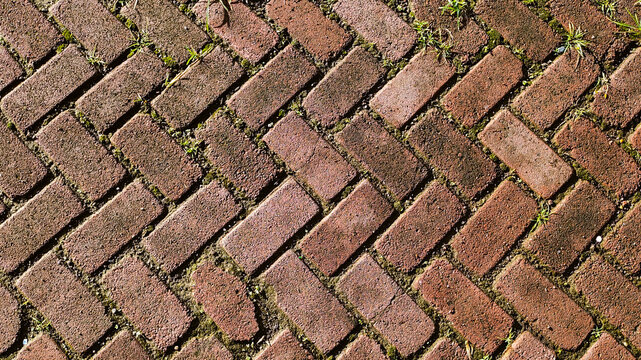 The old red brick paving floor pattern is arranged in a herringbone pattern. Weeds grow between the bricks, revealing the aged outdoor texture.