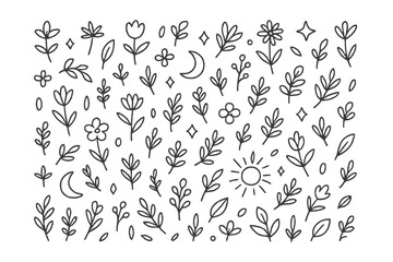 Minimalist hand drawn doodle set of floral elements, leaves, flowers, sun, and moon symbols